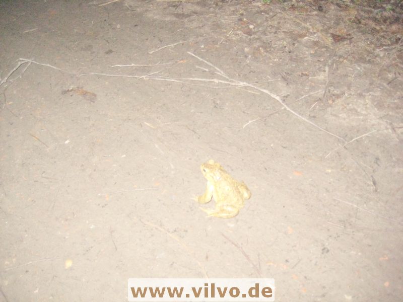 12rurb-dn18.jpg