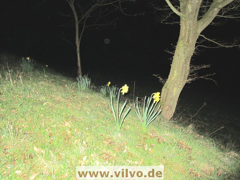 12NEU2_10.jpg