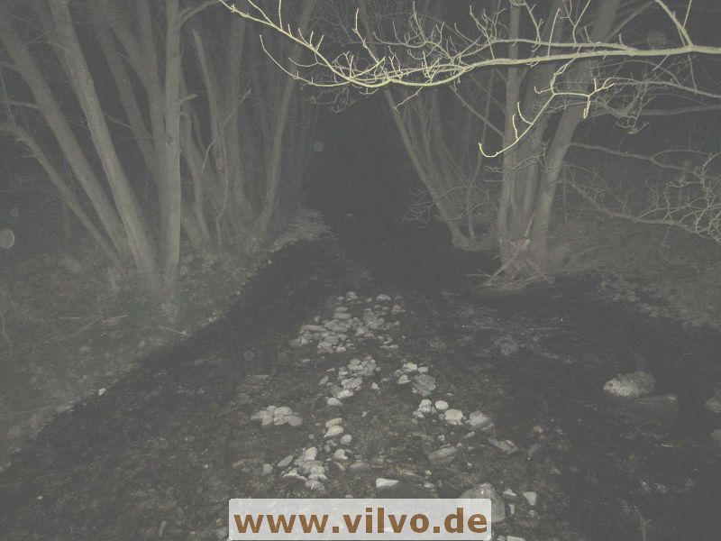 12NEU2_11.jpg