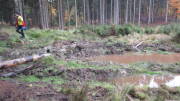 17NETT03.jpg
