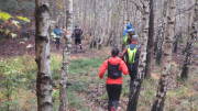 17NETT08.jpg