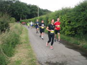 26hahn080.jpg