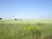 26kreuzweingarten096.jpg