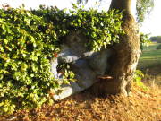 26MoMa006.jpg