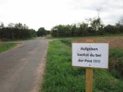 26scheven044.jpg