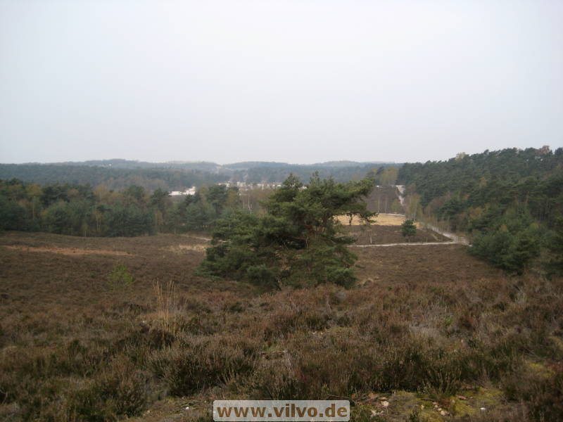 08limburg11.jpg