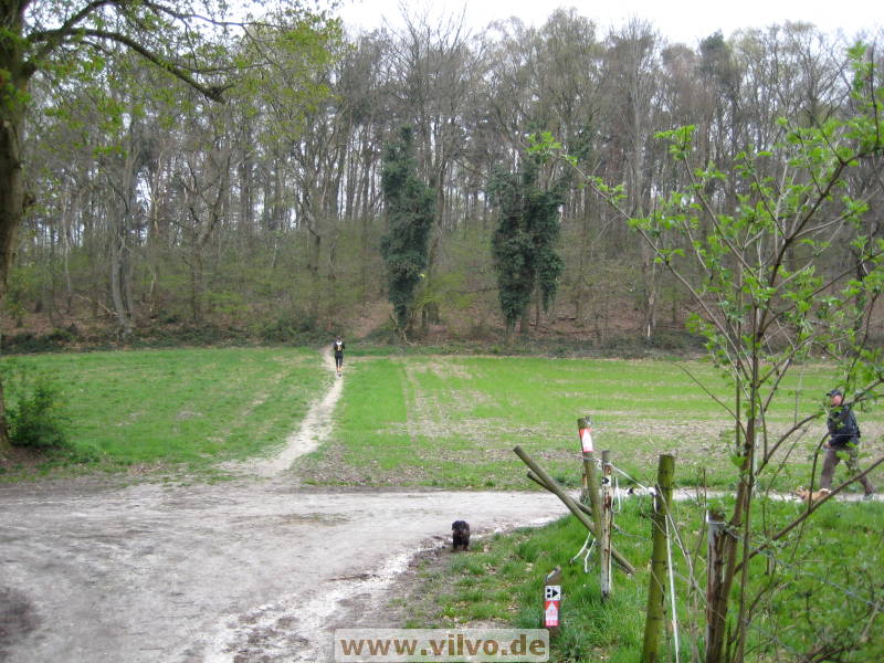 08limburg12.jpg