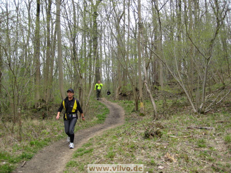 08limburg25.jpg