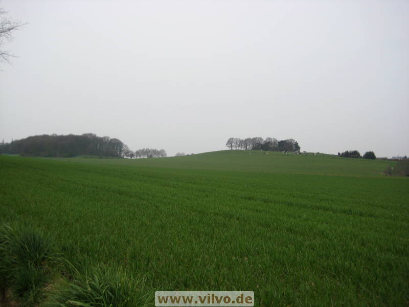 08limburg28.jpg