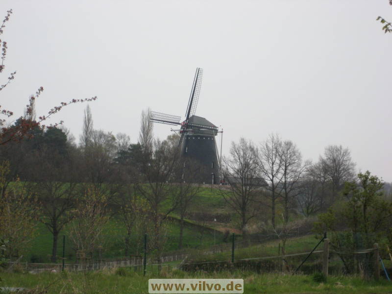 08limburg33.jpg