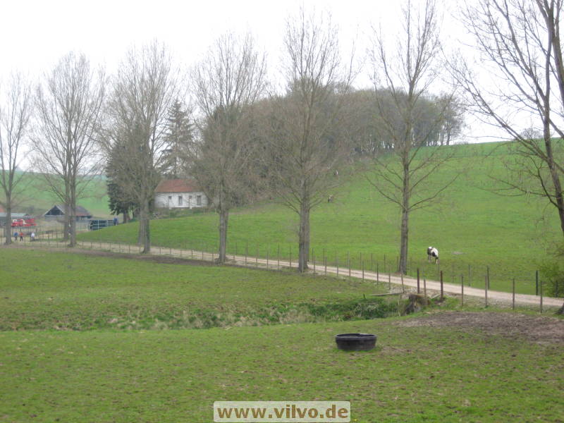 08limburg35.jpg
