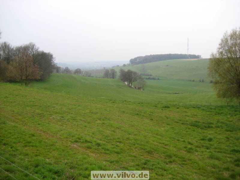 08limburg37.jpg