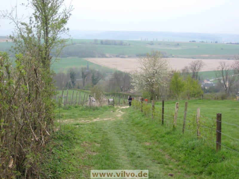 08limburg38.jpg