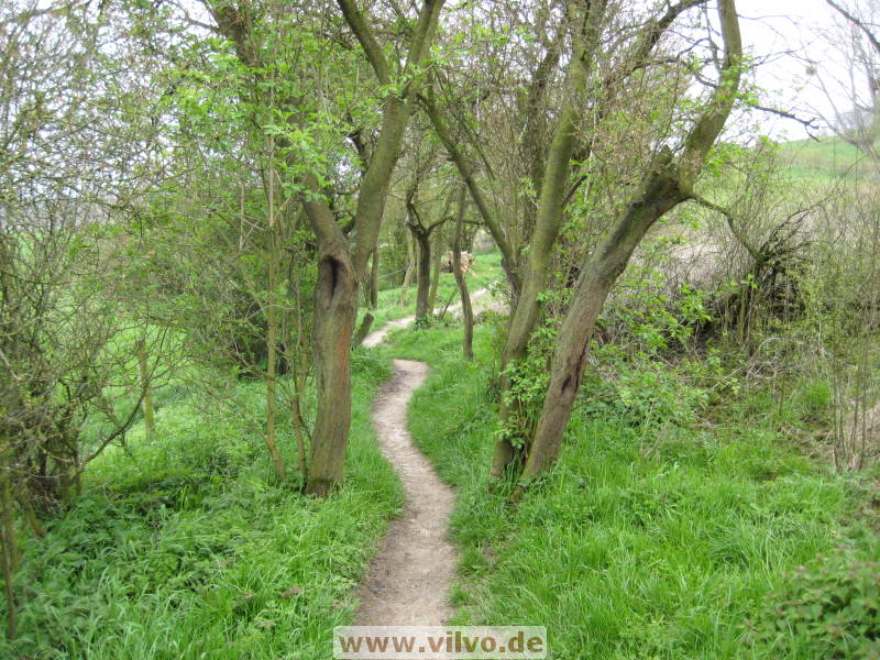 08limburg39.jpg