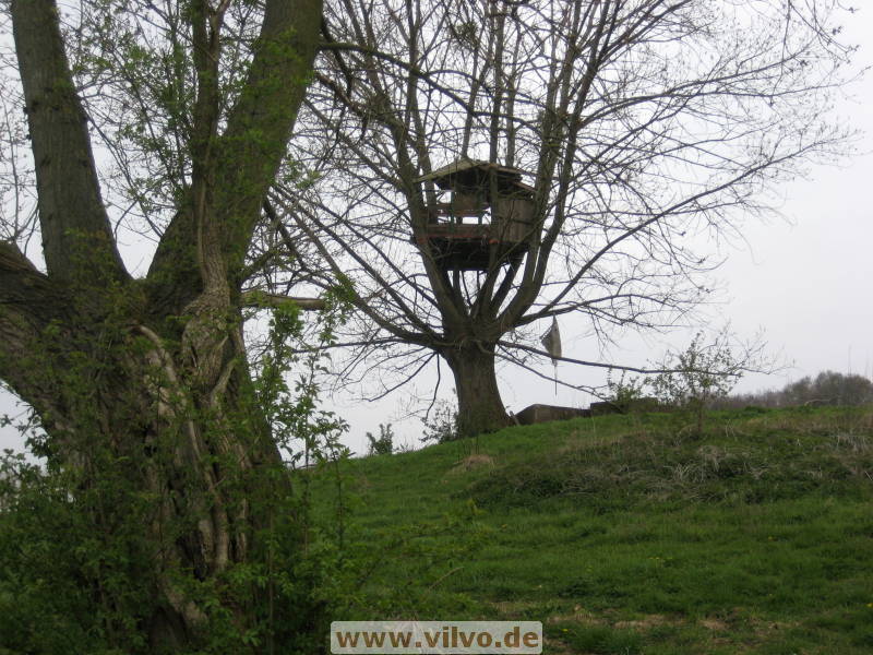 08limburg40.jpg