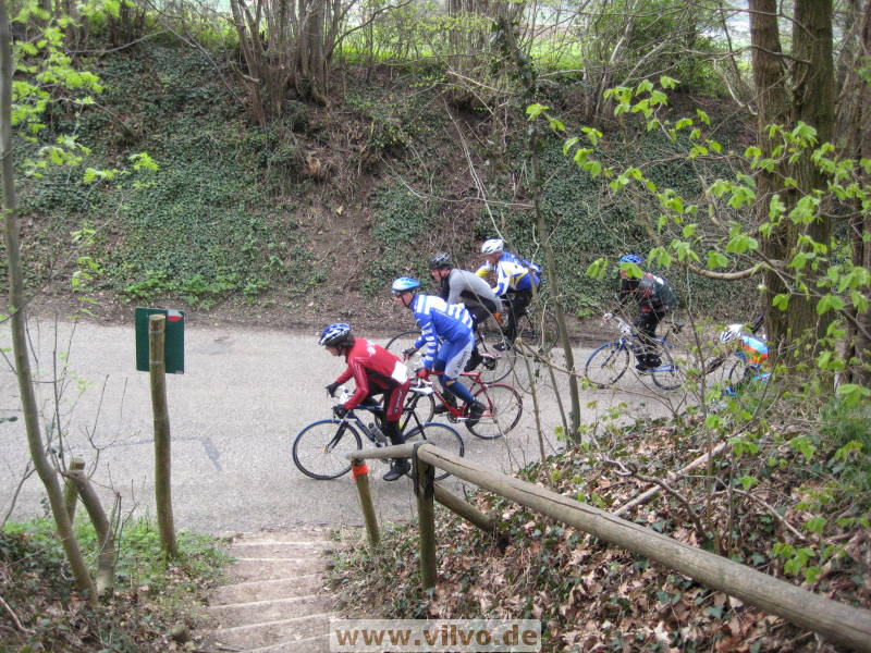 08limburg41.jpg