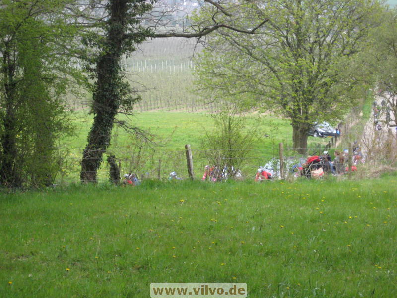 08limburg42.jpg