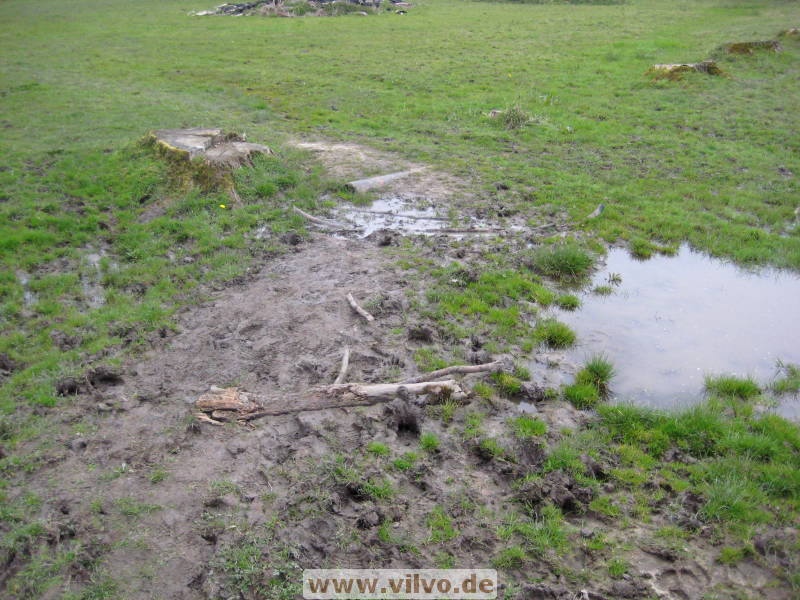 08limburg53.jpg