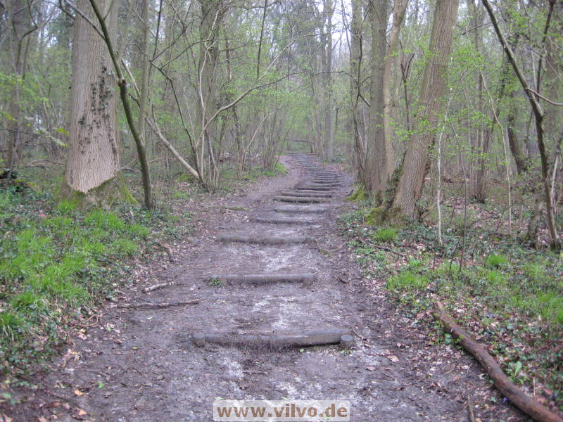 08limburg56.jpg