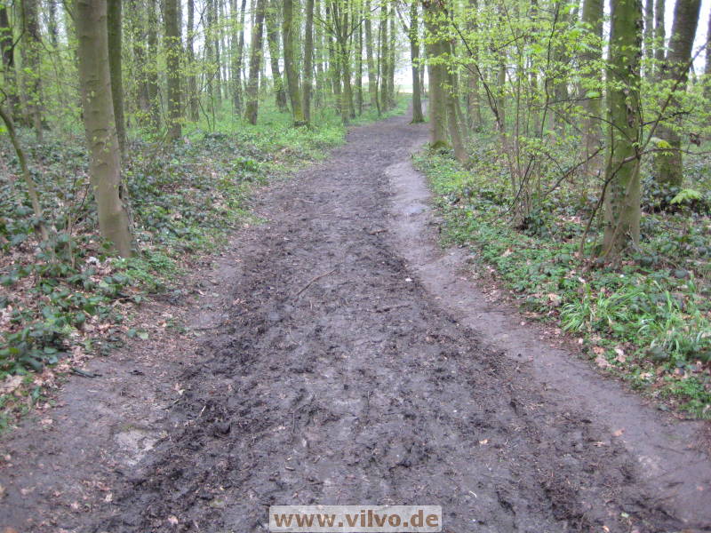 08limburg57.jpg