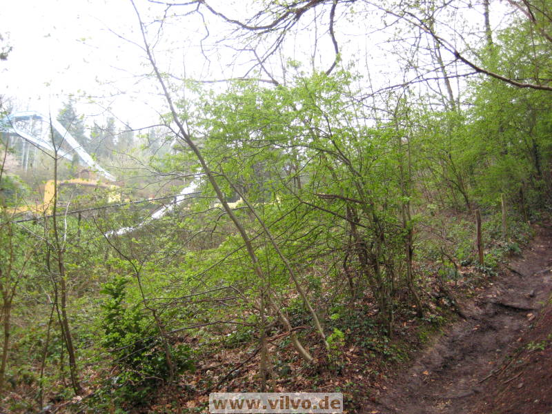 08limburg59.jpg