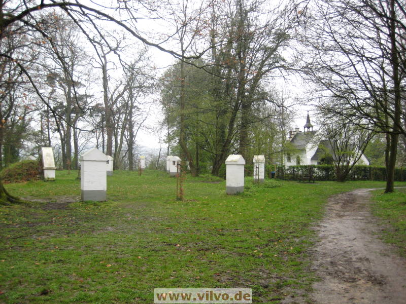08limburg63.jpg