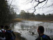 08limburg05.jpg