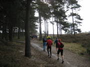08limburg06.jpg