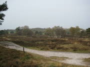 08limburg07.jpg