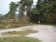 08limburg08.jpg