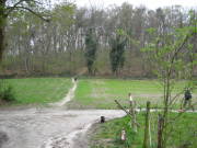 08limburg12.jpg