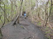 08limburg21.jpg