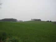 08limburg28.jpg