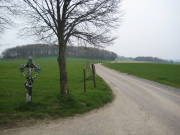 08limburg30.jpg