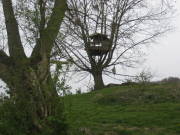 08limburg40.jpg