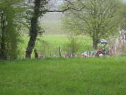 08limburg42.jpg