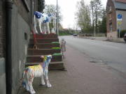 08limburg49.jpg