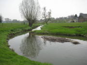 08limburg52.jpg