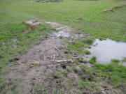 08limburg53.jpg
