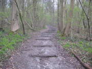 08limburg56.jpg