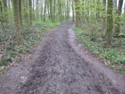 08limburg57.jpg