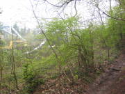 08limburg59.jpg