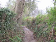 08limburg62.jpg