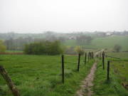 08limburg64.jpg