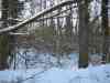 Nord_Eifel_Ultra_2009_010.jpg