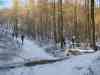 Nord_Eifel_Ultra_2009_039.jpg