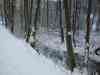 Nord_Eifel_Ultra_2009_044.jpg
