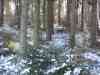 Nord_Eifel_Ultra_2009_057.jpg