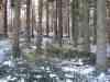 Nord_Eifel_Ultra_2009_058.jpg