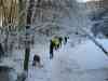 Nord_Eifel_Ultra_2009_076.jpg